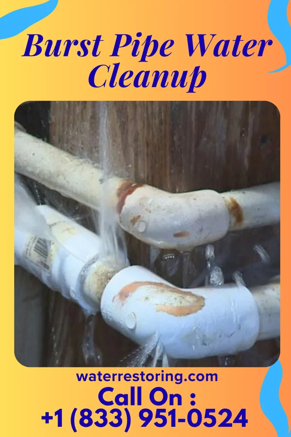 Burst Pipe Water Cleanup in Perryopolis, PA