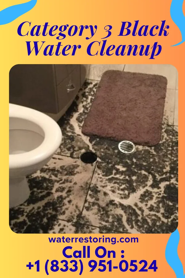 Category 3 Black Water Cleanup in Perryopolis, PA