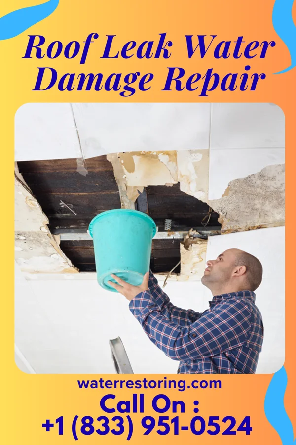Roof Leak Water Damage Repair in Perryopolis, PA