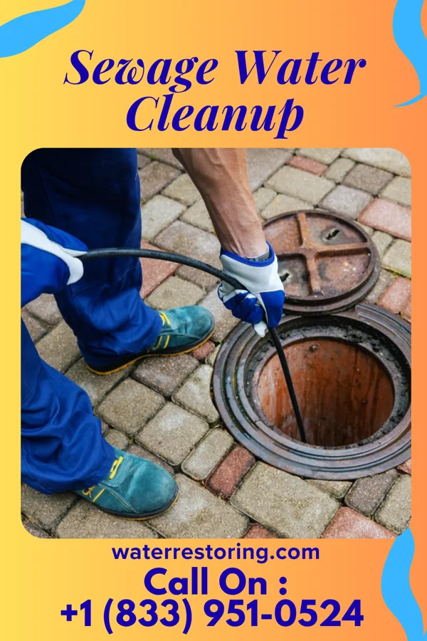 Sewage Water Cleanup in Perryopolis, PA