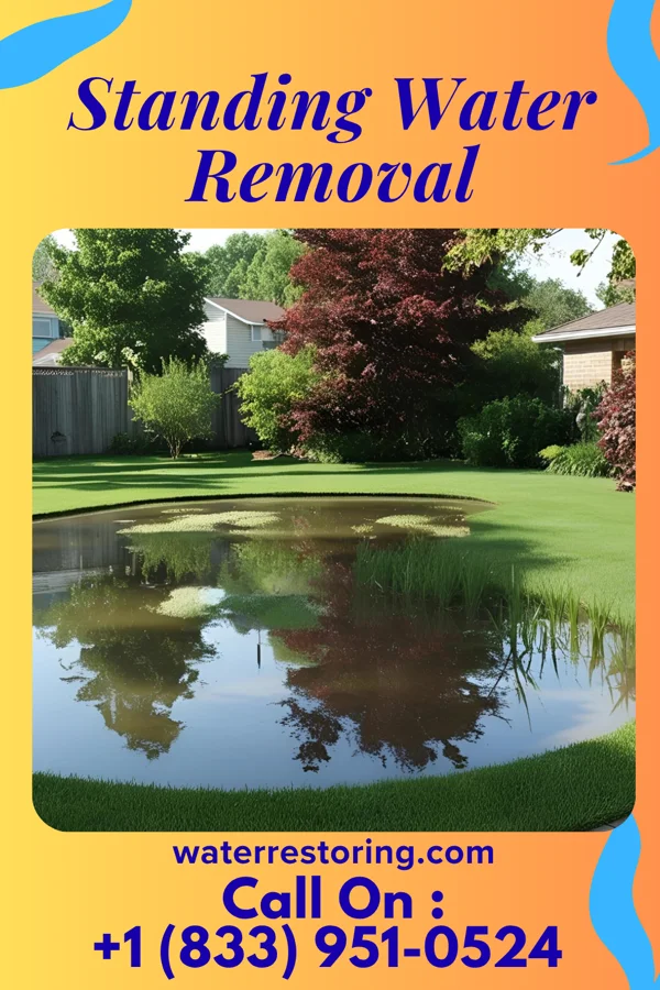 Standing Water Removal in Perryopolis, PA